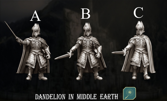 Garde de la citadelle avec épée
