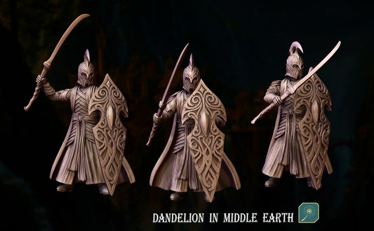 Warriors with sword and shield