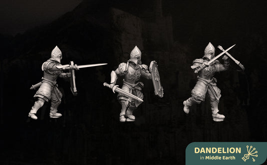 Guerrier avec épée et bouclier