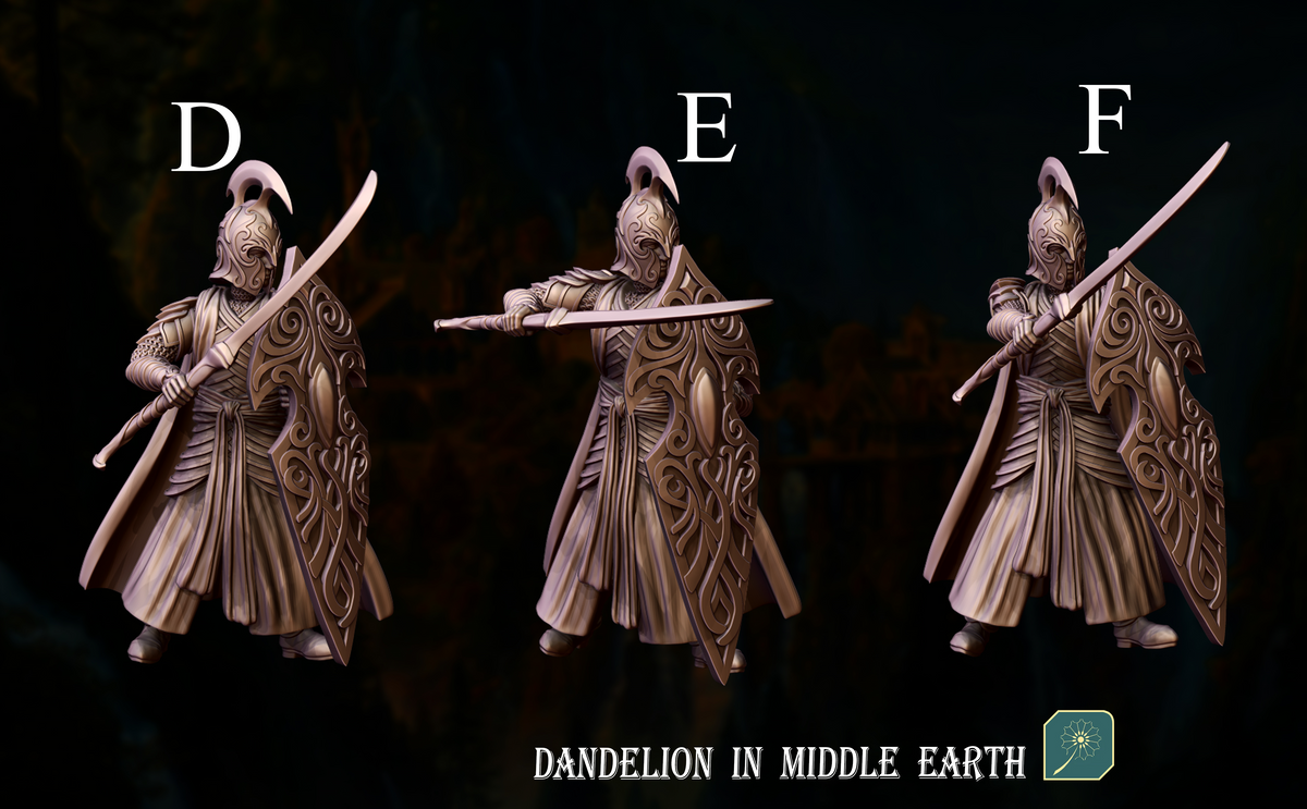 Warriors with sword and shield