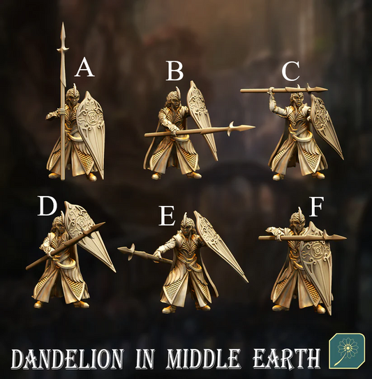 Guerriers elfes avec lance et bouclier