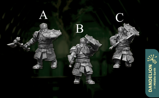Warriors with axe and shield